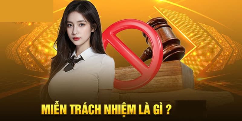 Giới thiệu về miễn trừ trách nhiệm Vipwin