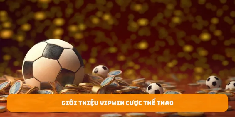 Giới thiệu Vipwin cược thể thao