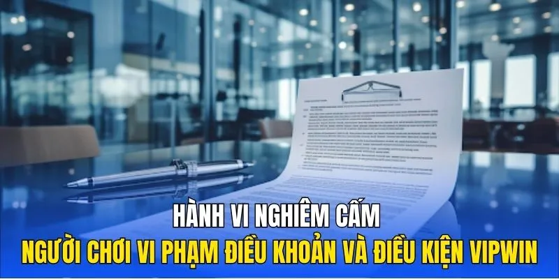 Hành vi nghiêm cấm người chơi vi phạm điều khoản và điều kiện Vipwin