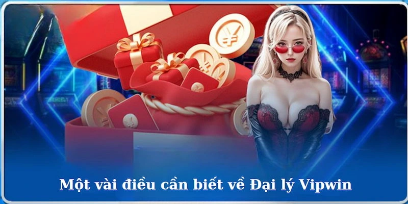 Một vài điều cần biết về đại lý Vipwin